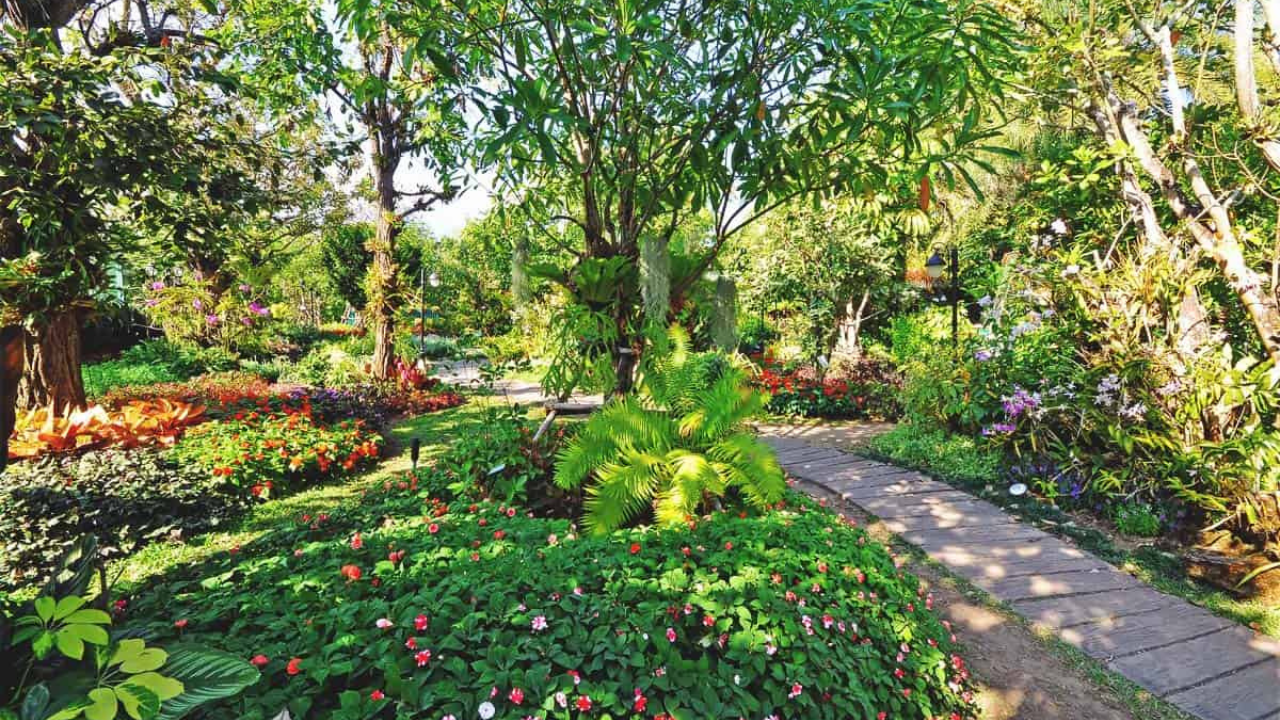 Comment on How to Grow a Food Forest for Free and Cheap by Rachelle